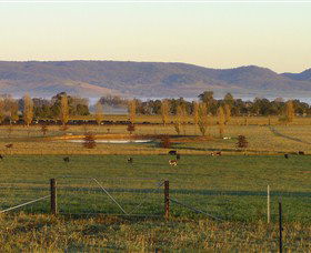 Holbrook NSW Winery Find