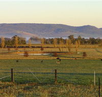Holbrook Landcare Self-Drive Eco Tour - Winery Find