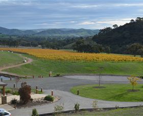 Murrindindi VIC Winery Find