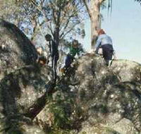 Mount Samaria State Park - Winery Find