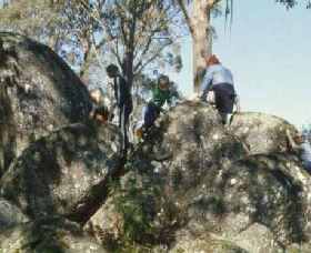 Mount Samaria State Park - Winery Find 0
