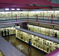 National Museum of Australian Pottery - Winery Find
