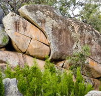 Frog Rock - Winery Find