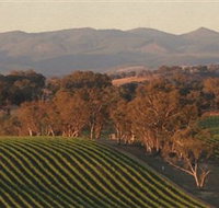 Angullong Wines - Winery Find
