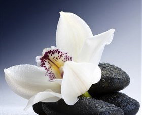 H2O Spa - Winery Find 1