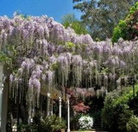 Nooroo Gardens - Winery Find