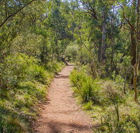 Mares Forest Creek walking track - Winery Find