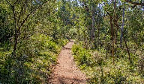 Mares Forest Creek Walking Track - Winery Find 0