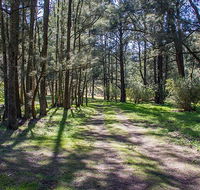 Wombeyan Waterfall walking track - Winery Find
