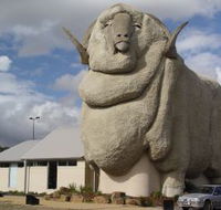 Big Merino - Winery Find