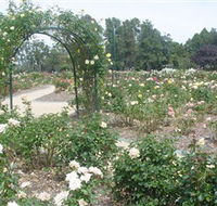 Victoria Park Rose Garden - Winery Find
