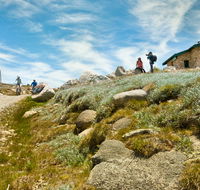 Mount Kosciuszko Summit walk - Winery Find