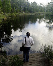 Boonoo Boonoo Falls National Park - Winery Find 1