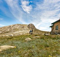 Kosciuszko National Park - Winery Find