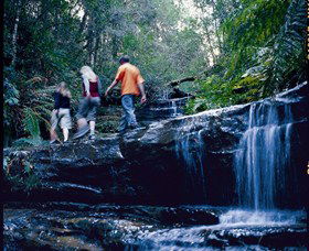 South Lawson Waterfall Circuit - Winery Find 0