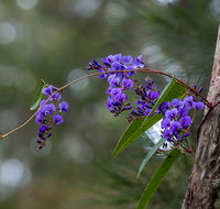 Mann River Nature Reserve - Winery Find