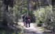 Syd's Rapids And Aboriginal Heritage Trail, Avon Valley - thumb 0