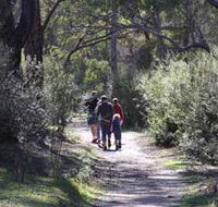 Syd's Rapids and Aboriginal Heritage Trail Avon Valley - Winery Find