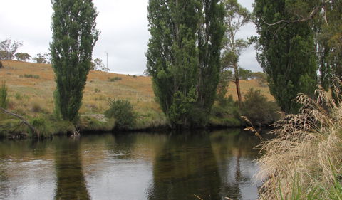 Thredbo River Picnic Area - Winery Find 3