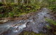 Nowendoc National Park - thumb 3