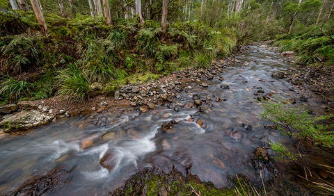 Nowendoc National Park - Winery Find 3