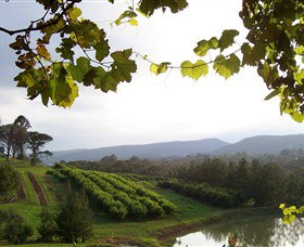 Enniskillen Orchard - Winery Find 1