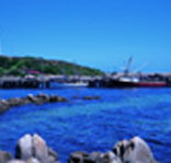 King Island Dairies - Winery Find