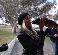 Eucumbene Trout Farm - Winery Find