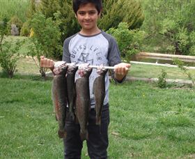 Eucumbene Trout Farm - Winery Find 3