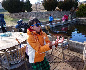 Eucumbene Trout Farm - Winery Find 2