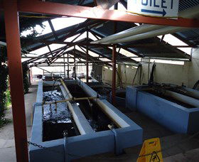Eucumbene Trout Farm - Winery Find 5