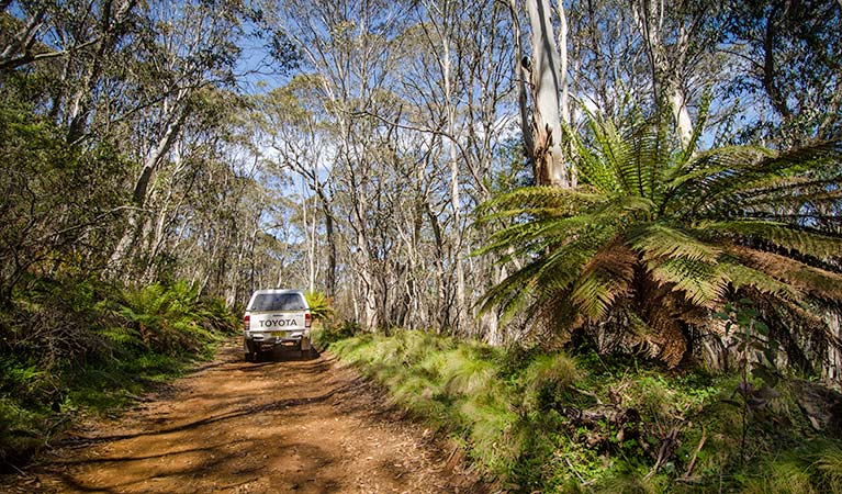 Moonan Brook NSW Winery Find