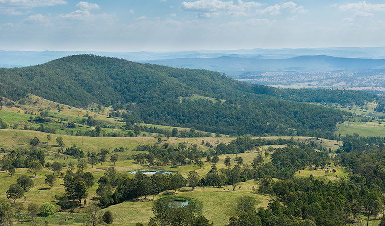 Acacia Creek ACT Winery Find