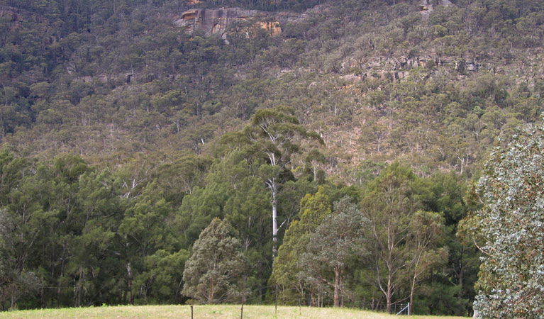 Joadja NSW Winery Find