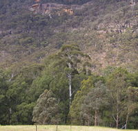 Bangadilly National Park - Winery Find