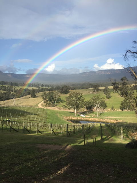 Dryridge Estate - Winery Find 4