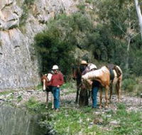 Yarramba Horse Riding - Winery Find