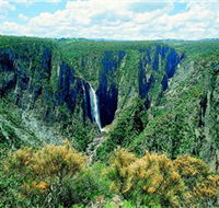 Wollomombi Falls - Winery Find