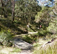 Wollomombi walking track - Winery Find