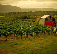 Around Hermitage Wine and Food Trail Hunter Valley - Winery Find