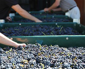 Around Hermitage Wine And Food Trail Hunter Valley - Winery Find 6