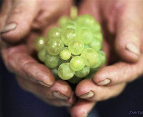 Keith Tulloch Wine - Winery Find 1