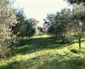 Langdale Farm - Winery Find