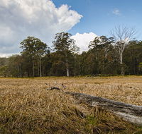 Mummel Gulf National Park - Winery Find