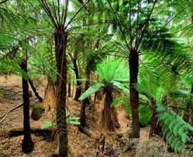 Pegarah Private Nature Reserve & Parenna Place - Winery Find 0