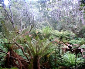 Pegarah Private Nature Reserve & Parenna Place - Winery Find 1