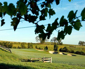 Vintage Golf Club - Winery Find 1