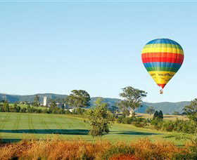 Vintage Golf Club - Winery Find 2