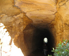 Box Vale Picnic Area - Winery Find 1