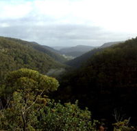 Nattai Gorge Lookout - Winery Find
